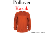 pullover